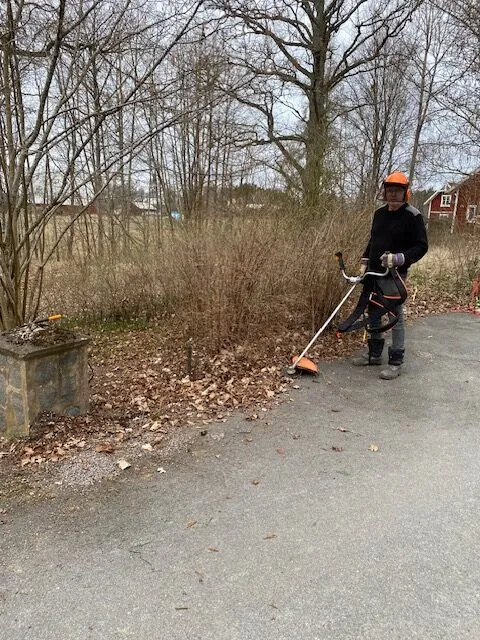 En person som bär säkerhetsutrustning använder en strängtrimmer för att klippa gräs och ogräs bredvid en asfalterad stig kantad av kala träd och buskar; en stenstruktur syns till vänster.